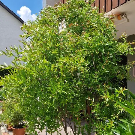 Wiesental 89331 Burgau, Wiesentalstrasse 1