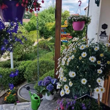 Wiesental 89331 Burgau, Wiesentalstrasse 1 公寓 *